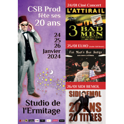 20th anniversary poster